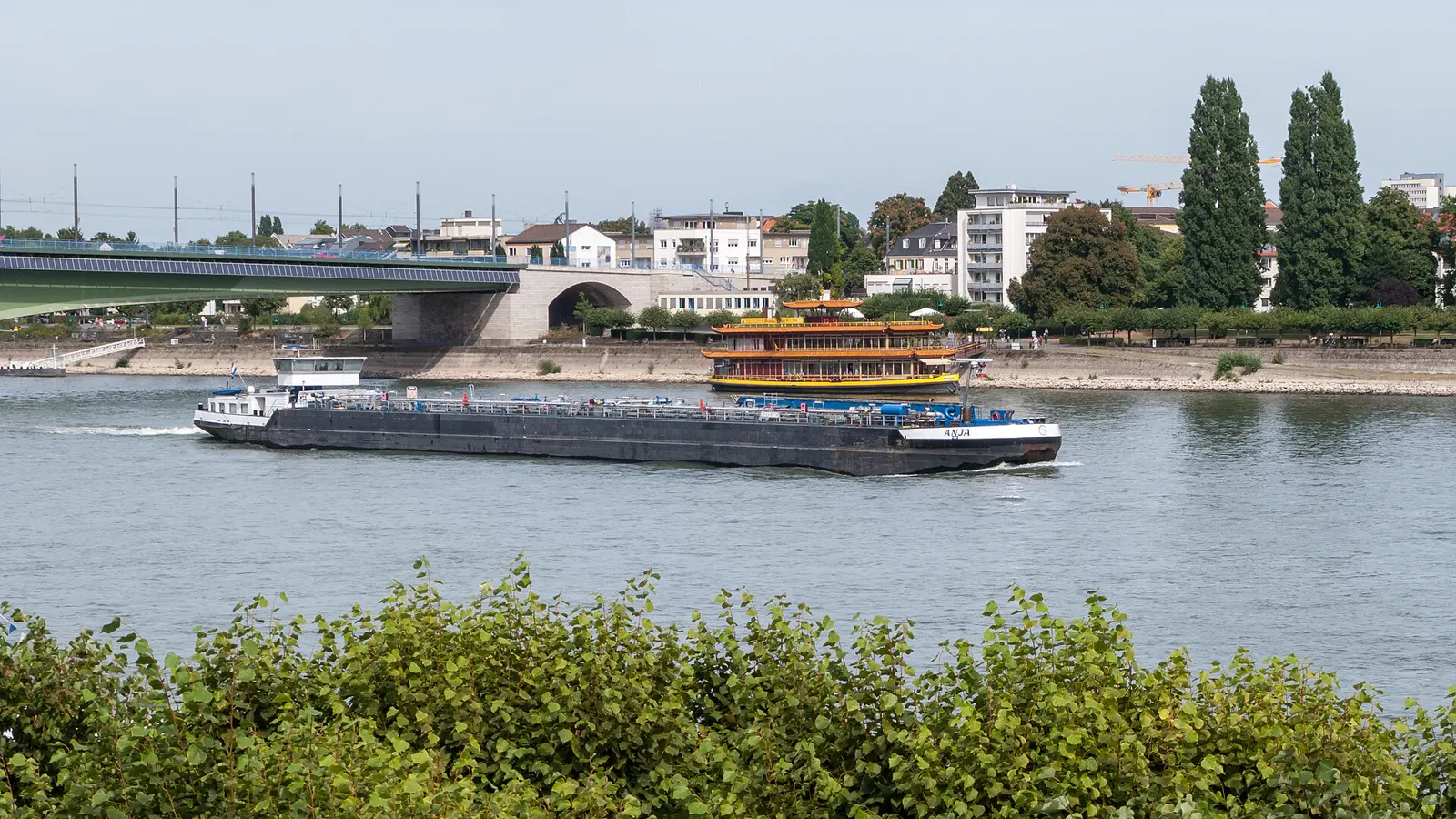 Kennedybrücke über den Rhein in Bonn