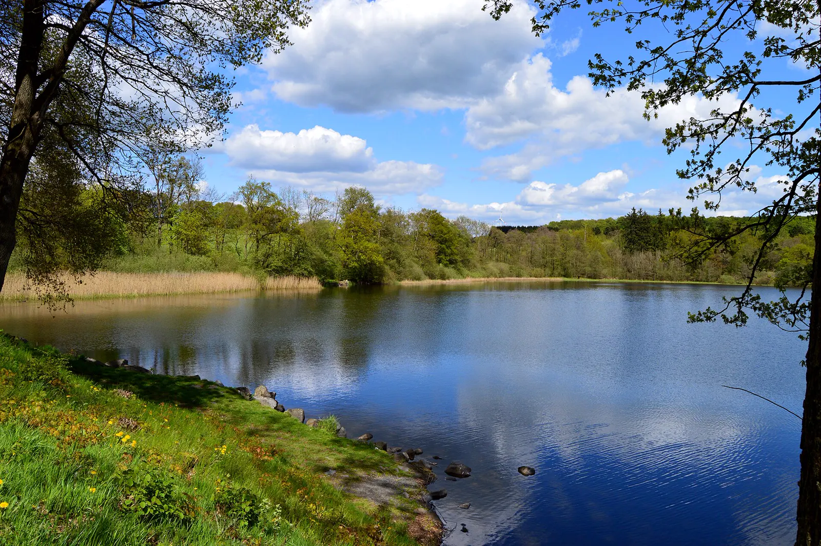 Dreifelder Weiher in der Westerwälder Seenplatte